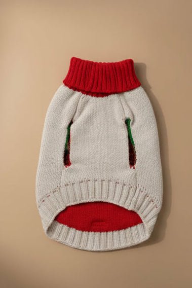 Adorable small dog sweater for Maltese white tomato detail
