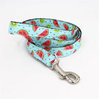 Watermelon Splash Collar & Leash Set - Mona & Milo