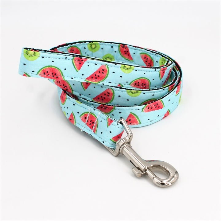 Watermelon Splash Collar & Leash Set - Mona & Milo