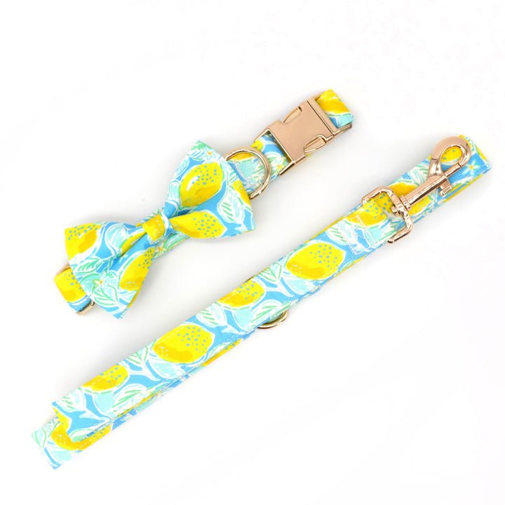 Lemon Drop Collar & Leash Set - Mona & Milo