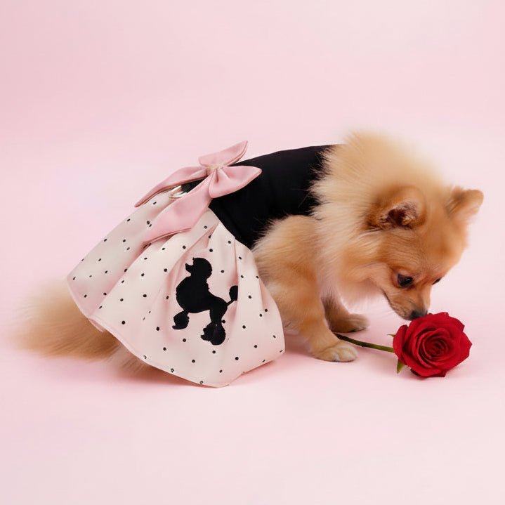 Mona & Milo The Midnight Poodle Dress featuring a stylish black dress with a playful poodle print.