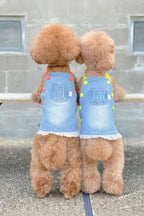 Capri Denim Dress - Mona & Milo