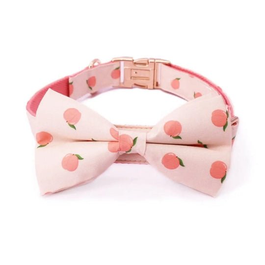Dreamy Peach Full Walk Set - Dreamy Peach Full Walk SetDog HarnessMona & Milo