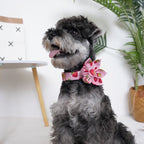 Mona & Milo Berry Belle dog collar and leash set with pink and purple floral design on fabric, matching leash included.