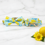 Lemon Drop Collar & Leash Set - Mona & Milo