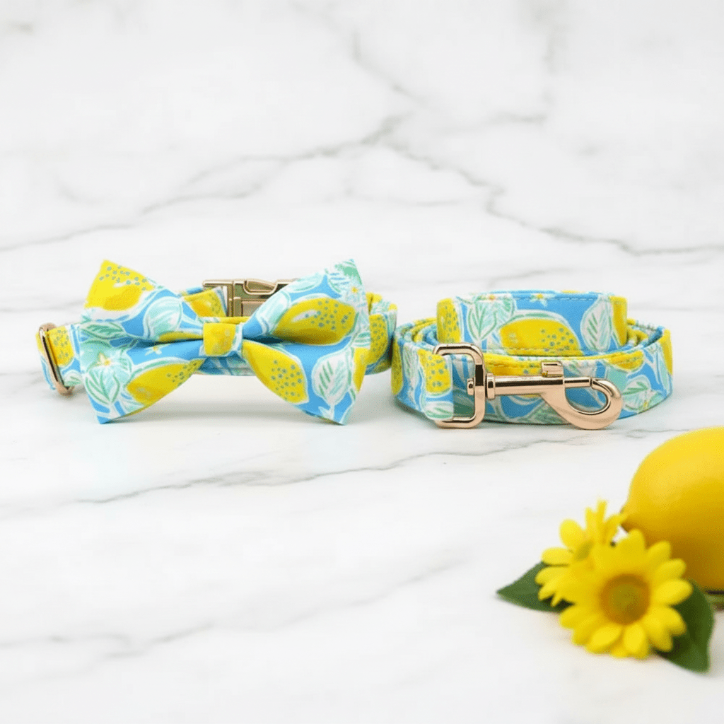 Lemon Drop Collar & Leash Set - Mona & Milo