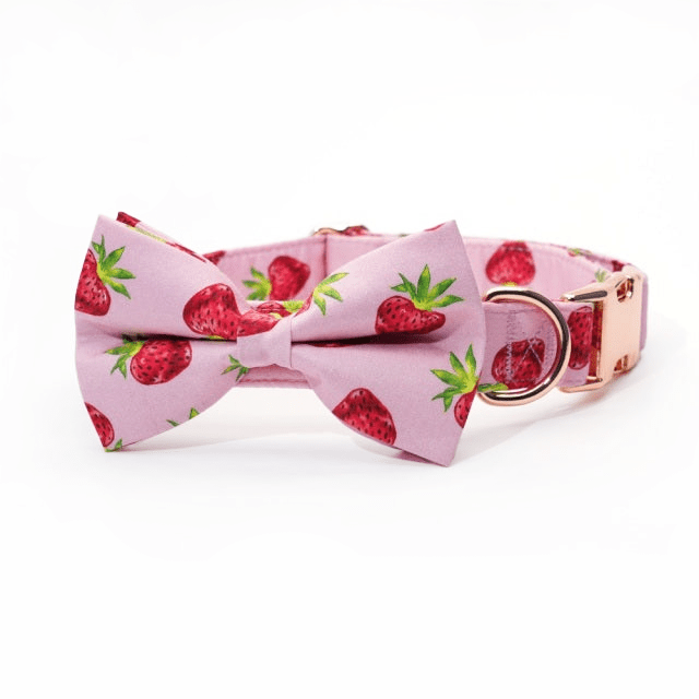 Mona & Milo Berry Belle dog collar and leash set with vibrant pink and purple floral pattern on fabric.