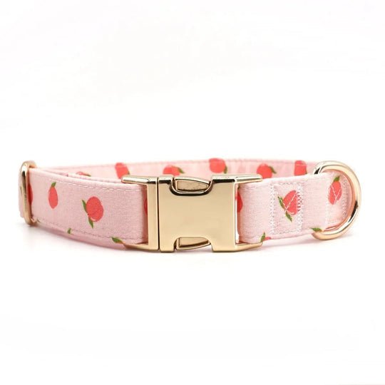Dreamy Peach Full Walk Set - Dreamy Peach Full Walk SetDog HarnessMona & Milo