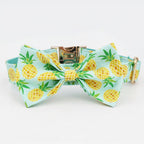 Pineapple Parade Collar & Leash Set - Mona & Milo