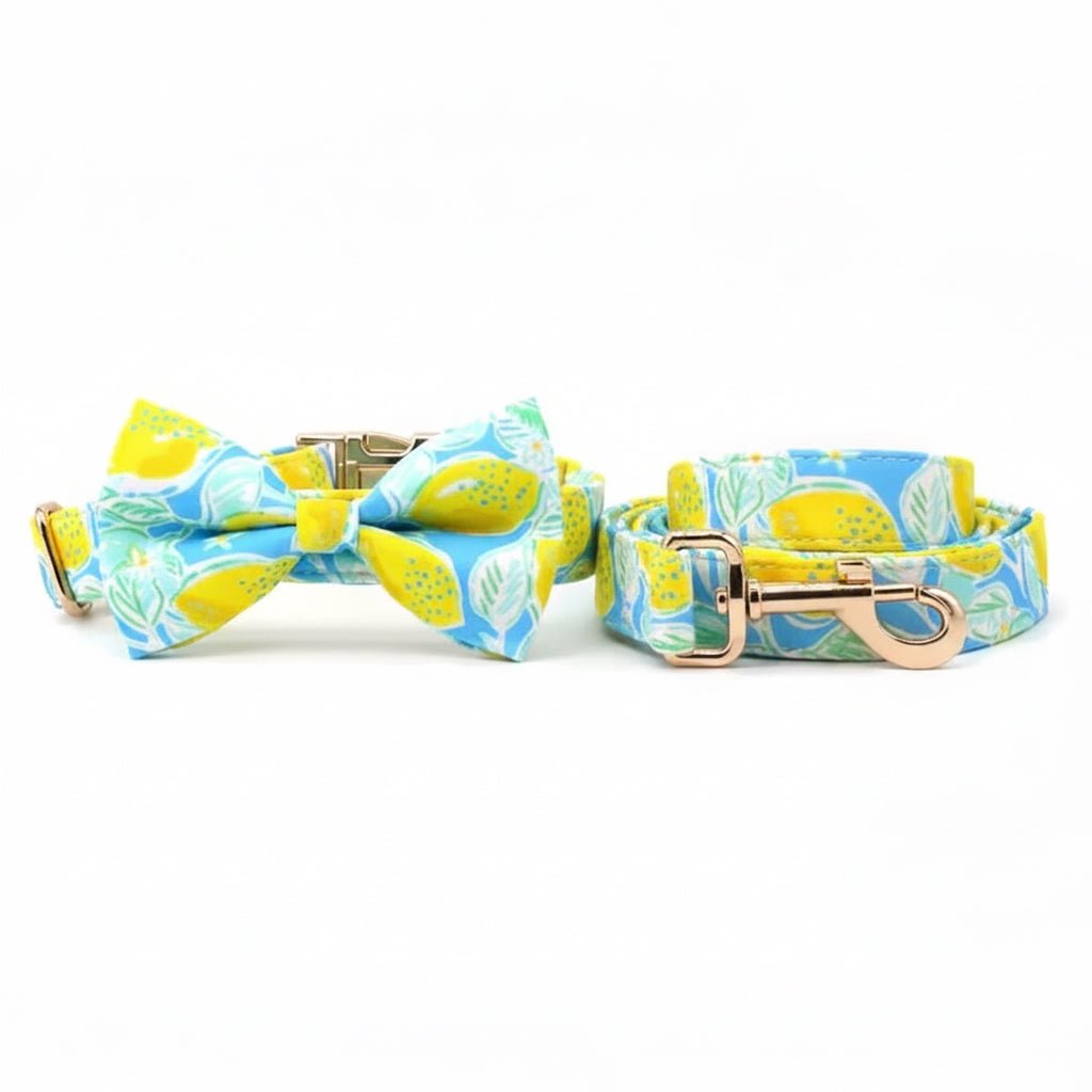 Lemon Drop Collar & Leash Set - Mona & Milo