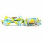 Lemon Drop Collar & Leash Set - Mona & Milo