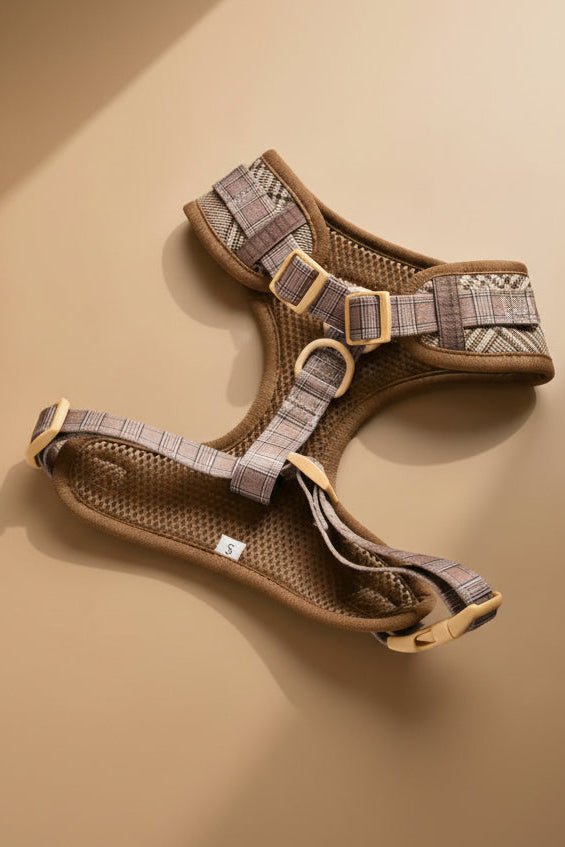 Émile Harness, Collar, Leash, Bow & Poop Bag Holder Set