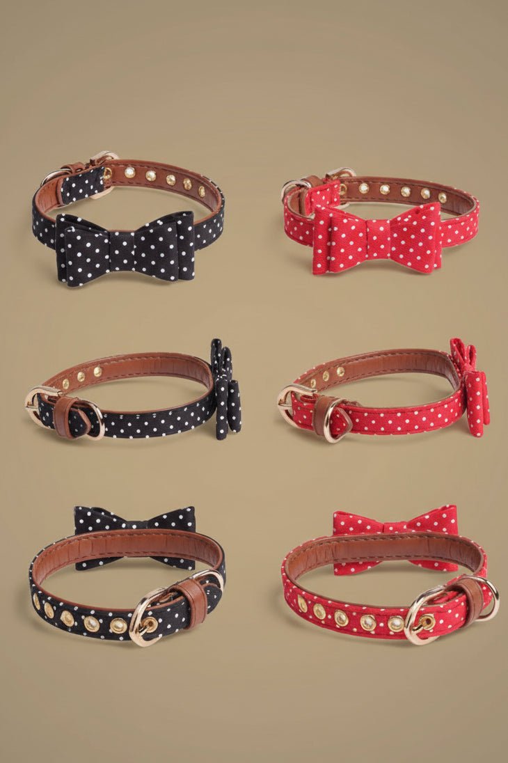 Elegant small dog collar set for Shih Tzu polka dot 
