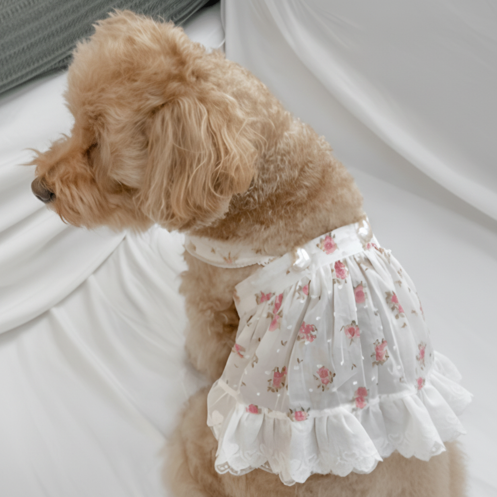 Mona & Milo Lola cotton floral dress with short sleeves, vibrant flower pattern, and relaxed fit for casual wear.