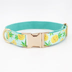 Pineapple Parade Collar & Leash Set - Mona & Milo