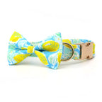 Lemon Drop Collar & Leash Set - Mona & Milo