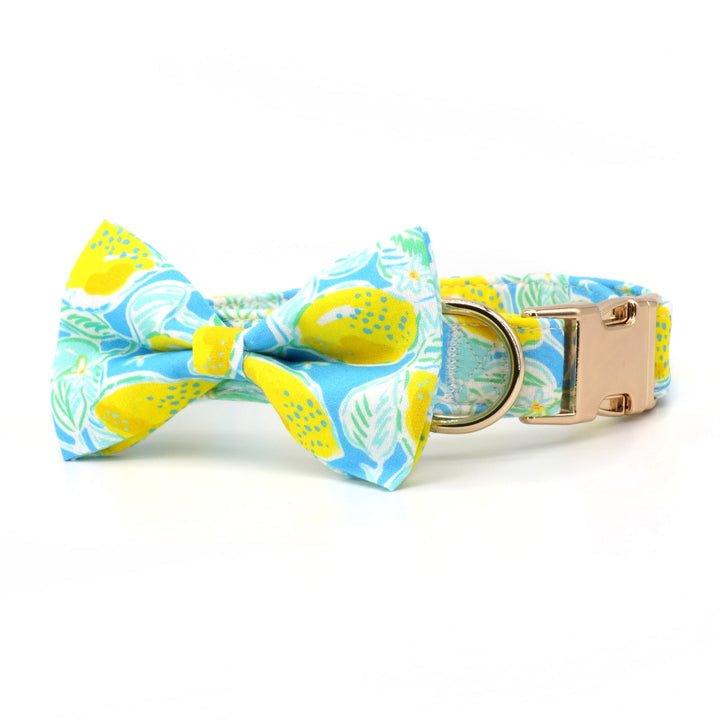 Lemon Drop Collar & Leash Set - Mona & Milo