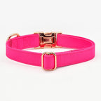 Kira Fuchsia Collar & Leash Set