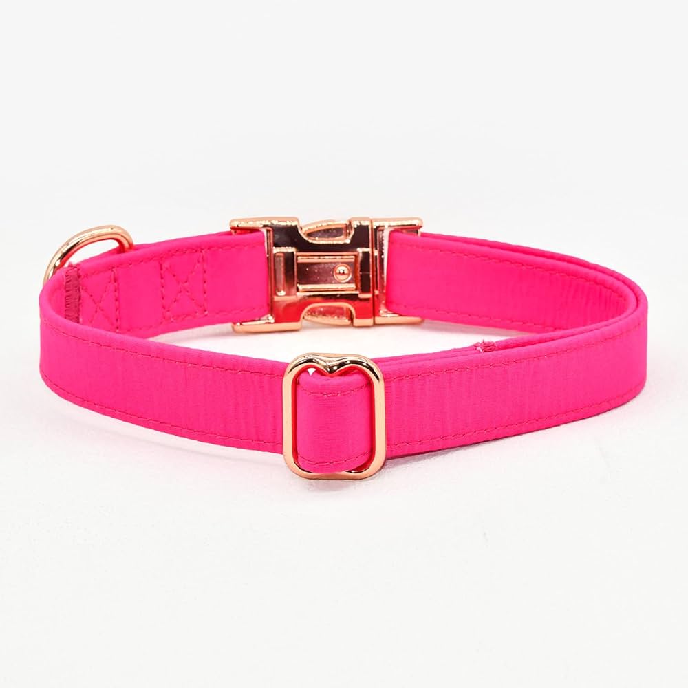 Kira Fuchsia Collar & Leash Set