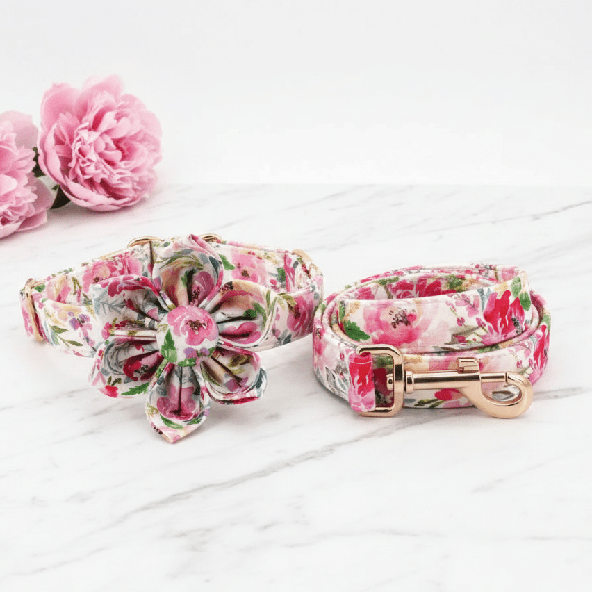 Rosie Dream Collar & Leash Set - Mona & Milo