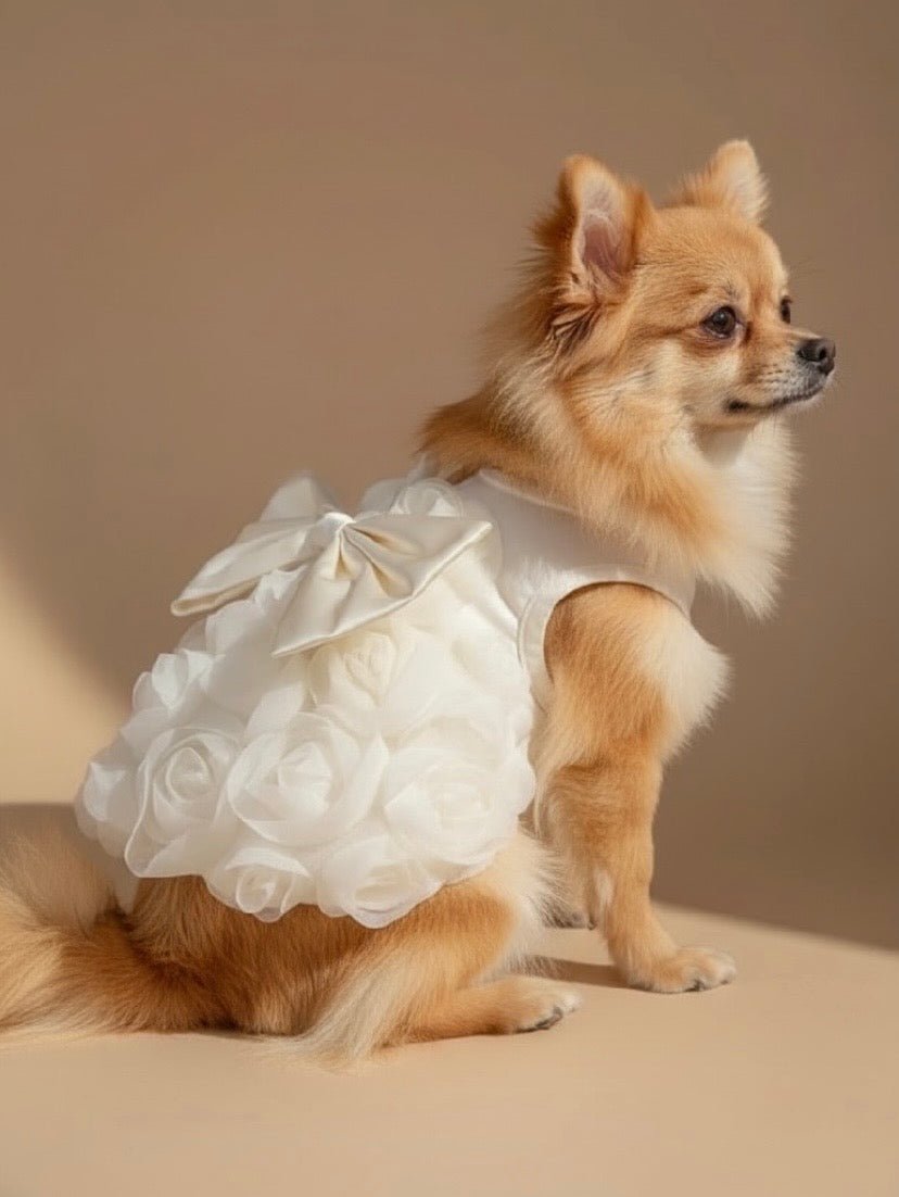 La Rose Dog Dress