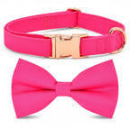 Kira Fuchsia Collar & Leash Set