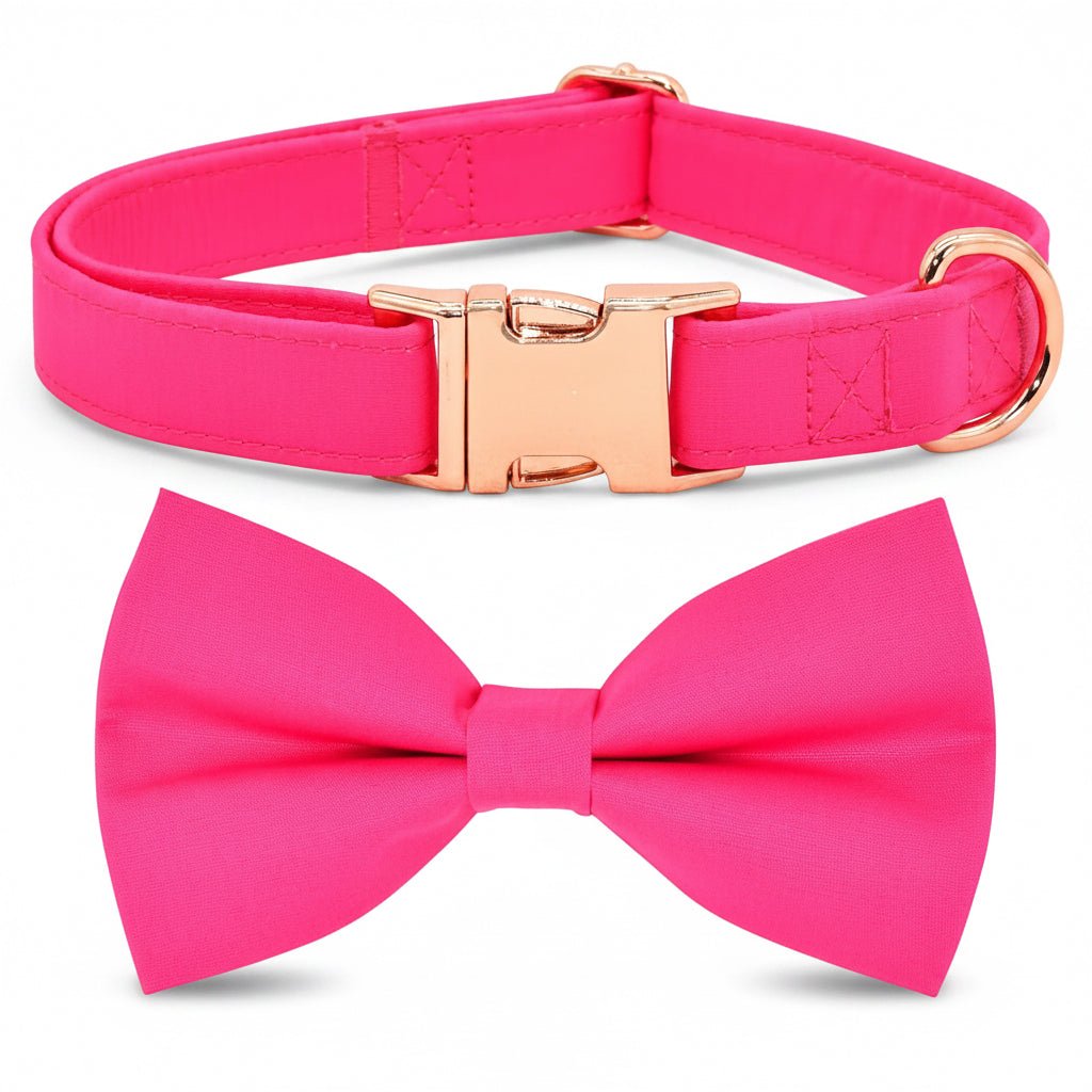 Kira Fuchsia Collar & Leash Set