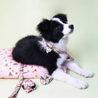 Butterfly Garden Collar & Leash Set - Mona & Milo
