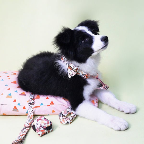 Butterfly Garden Collar & Leash Set - Mona & Milo