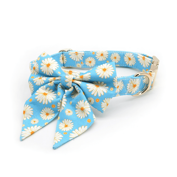 Daisy Days Collar & Leash Set - Mona & Milo