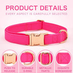 Kira Fuchsia Collar & Leash Set