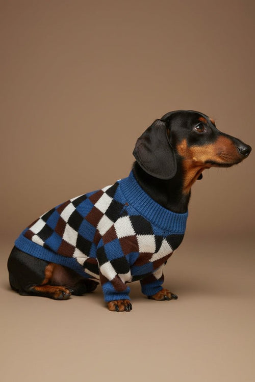 Adorable small dog sweater for French Bulldog argyle star pattern knit
