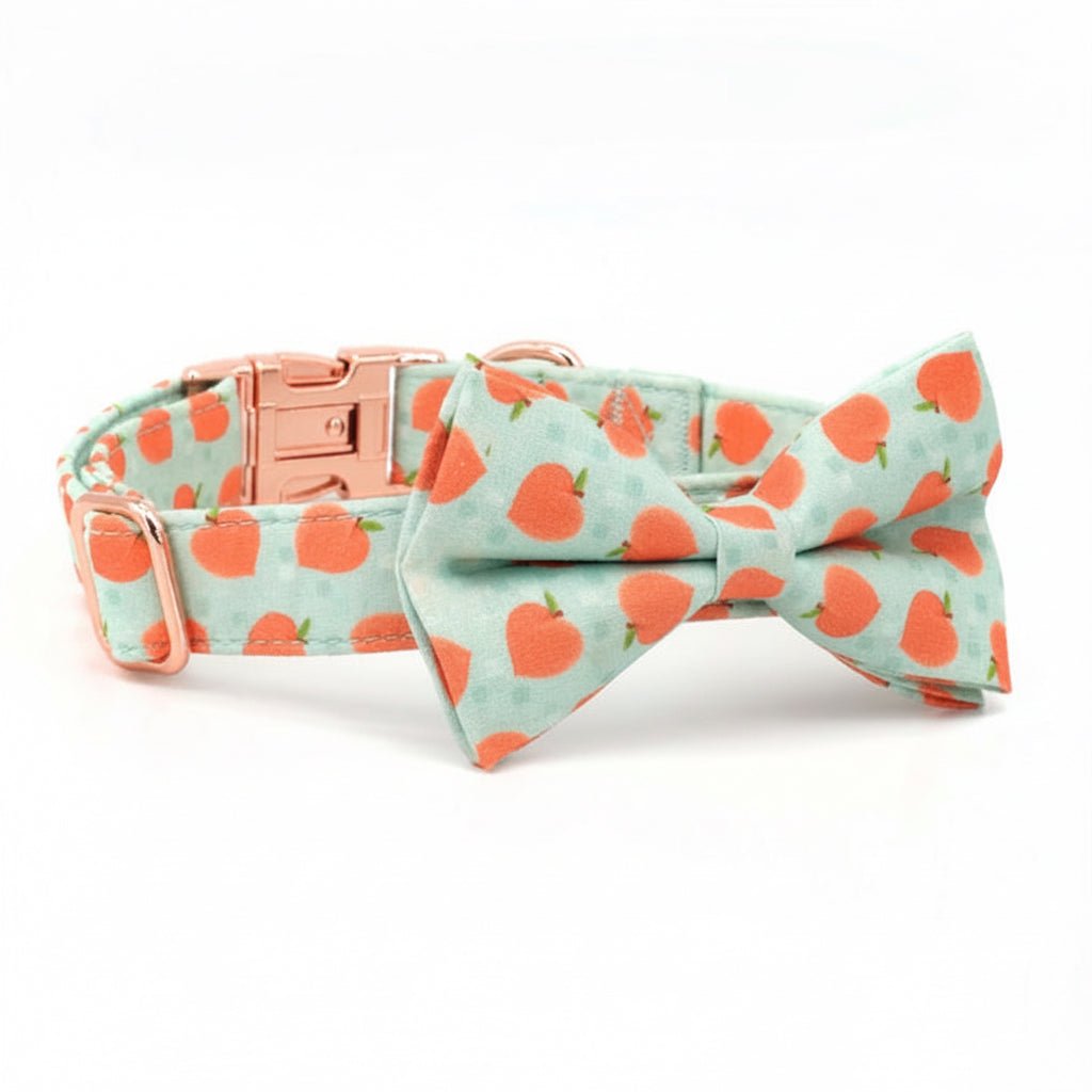 Peach Bellini collar and leash set for dogs by Mona & Milo, featuring a stylish peach-colored design and adjustable collar.