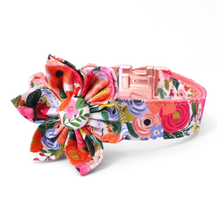 Strawberry pet adjustable harness with bowtie collar for dogs, suitable for weddings and birthdays, by Mona  & Milo