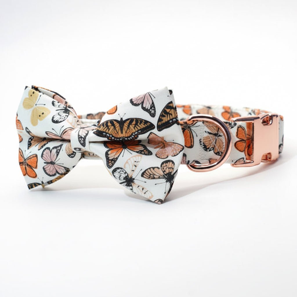 Butterfly Garden Collar & Leash Set - Mona & Milo
