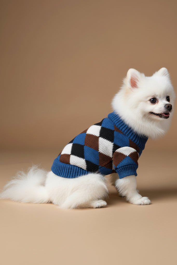 Elegant small dog sweater for French Bulldog argyle knit texture
