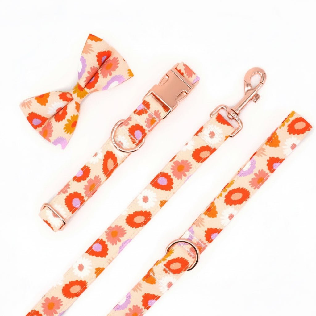 Mona & Milo Sundance dog collar and leash set with stylish design, adjustable collar, and matching leash for pets.