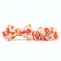 Mona & Milo Sundance dog collar and leash set with stylish design, adjustable collar, and matching leash