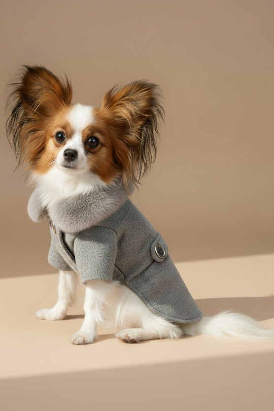 Vendôme Dog Coat