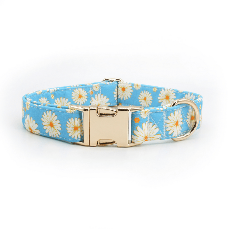 Daisy Days Collar & Leash Set - Mona & Milo