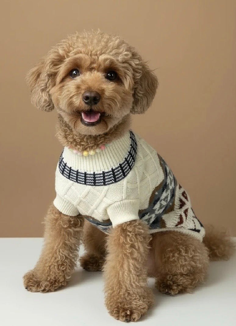 Elegant small dog sweater for Pomeranian Nordic knit close up
