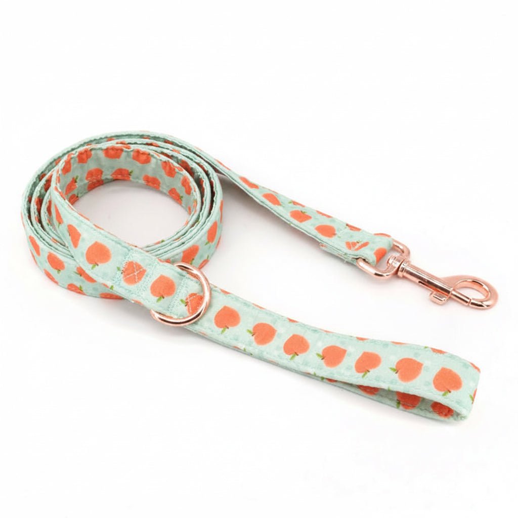 Peach Bellini collar and leash set for dogs by Mona & Milo, featuring a stylish peach-colored design with a secure buckle