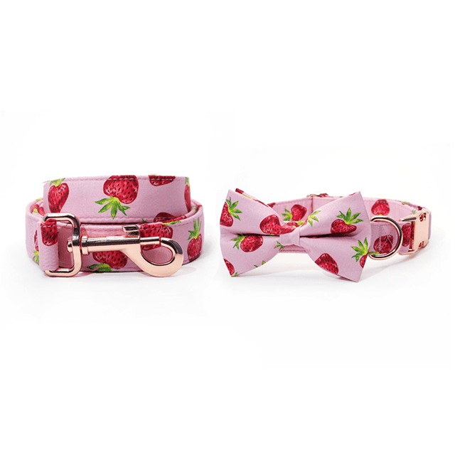 Pink Berry Belle dog collar and leash set by Mona & Milo featuring floral design and adjustable strap