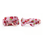 Pink Berry Belle dog collar and leash set by Mona & Milo featuring floral design and adjustable strap