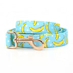 Banana Split Collar & Leash Set - Mona & Milo