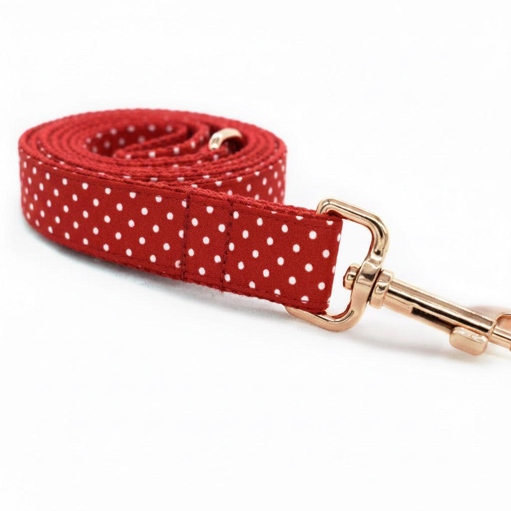 Lady in Red Collar & Leash Set - Mona & Milo