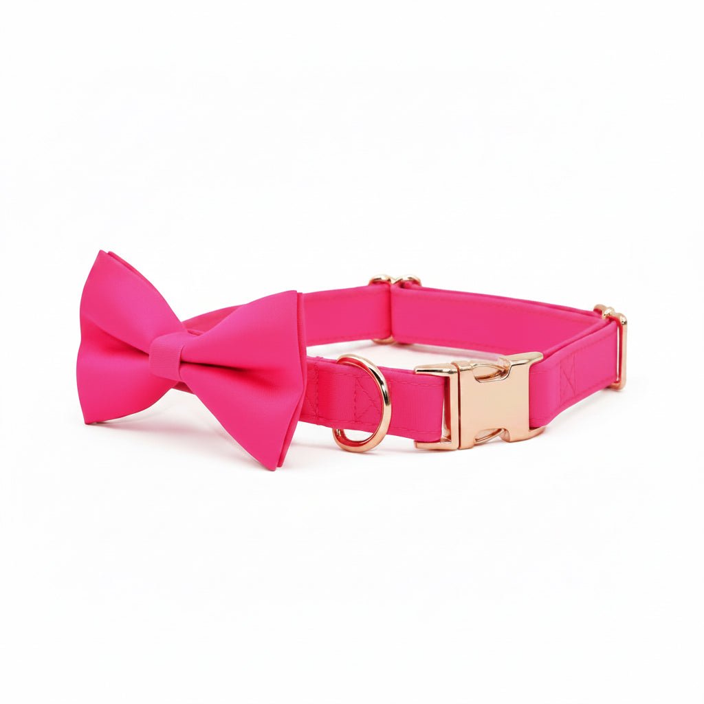 Kira Fuchsia Collar & Leash Set