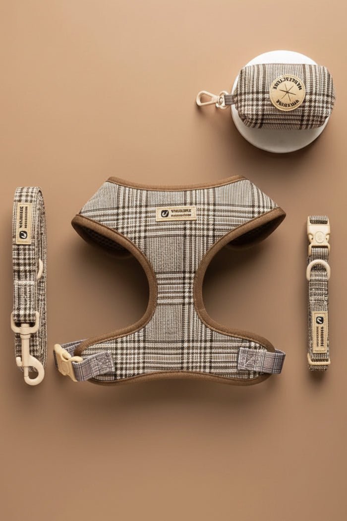 Émile Harness, Collar, Leash, Bow & Poop Bag Holder Set