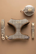 Émile Harness, Collar, Leash, Bow & Poop Bag Holder Set