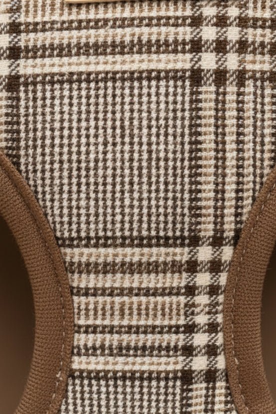 Émile Harness, Collar, Leash, Bow & Poop Bag Holder Set